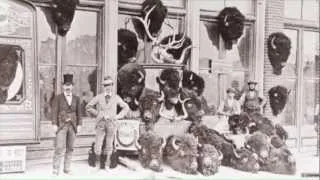 The story of bison hunting