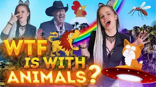 What do animals say in English? You will be surprised! Animals English lesson by Mari Bu.