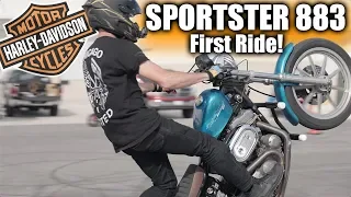 Sportster 883 First Ride - Is It A WEAK Cruiser?