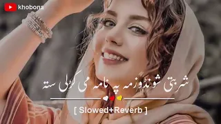 Sharbati Shonday Zama  Slowed+Reverb  Pashto New Song   khobona