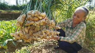 姜炒鴨怎麼做最好吃？ 阿婆教你家常做法，味道比飯店做的香Grandma uses ginger and duck meat to make traditional recipe｜广西 美食｜玉林阿婆