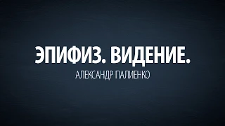 Эпифиз. Видение. Александр Палиенко.