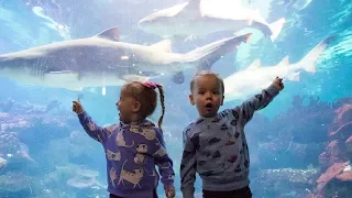 Gaby and Alex visiting Aquarium. Family Fun for kids