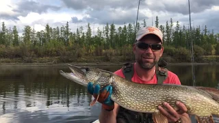 Рыбалка на реке Нижняя Ципа 2019
