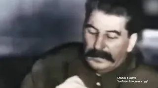 Сталин в цвете
