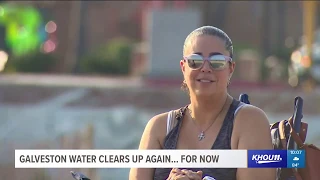 Galveston water clears up again...for now