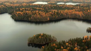 Музыка для души 🍁 Осень Beautiful Autumn / Расслабляющее видео Relaxing Video / Music for the soul