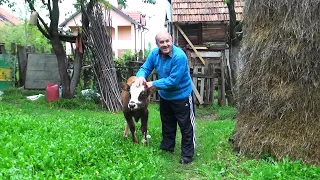 "Kažu Osmane čuvaj se, prvo se zakleo svog gazdu ubost pa onda ostale!"