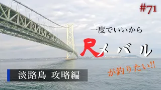 【淡路島、1周目】一度でいいから尺メバルが釣りたい!!#71【メバリング】