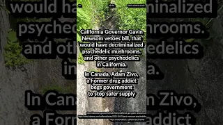 Newsom vetoes to decriminalized psychedelic mushrooms. Former drug addict beg to stop safer supply