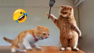 You Laugh You Lose 😅 Funniest Cats and Dogs 😺🐶 Part 6