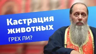 Грех ли кастрировать животных? (прот. Владимир Головин)