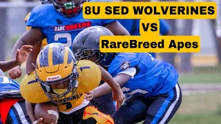8U SED Wolverines vs RareBreeds Apes Texas vs Georgia YNC Battle Preseason