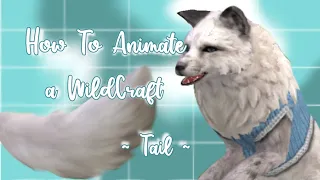 How To Animate: WildCraft Tail // Snowy 🤍❄️