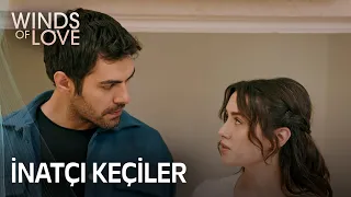 Zeynep ve Halil'in inatlaşması | Rüzgarlı Tepe 81. Bölüm