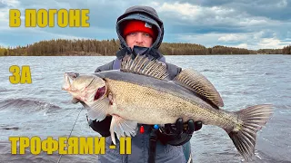 В погоне за трофеями. 3 х дневный тур. Часть 2-я. Рыбалка в Финляндии
