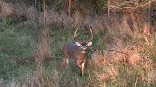 WORLDS LARGEST 6 POINT WHITETAIL!!!