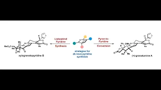 Total Synthesis of the Limonoid Alkaloids with Prof. Alex Schuppe