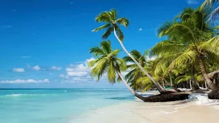 Las 8 playas más hermosas de República Dominicana