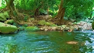 Relaxing River Sounds, Relaxing Forest Sounds, Gentle Water