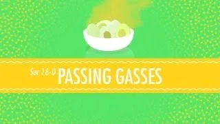 Passing Gases: Effusion, Diffusion, and the Velocity of a Gas - Crash Course Chemistry #16