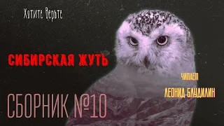 Сибирская Жуть: СБОРНИК №10.