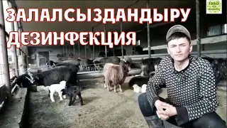 Залалсыздандыру / Дезинфекция