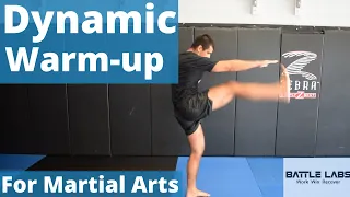 Dynamic Full Body Warmup for Boxing, Muay Thai, MMA and Grappling.