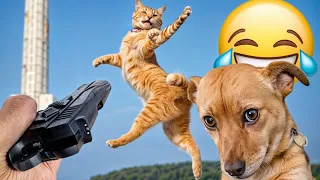 Try Not To Laugh Challenge😁Funny and Cute CAT Videos Compilation 2024😻🐶#5