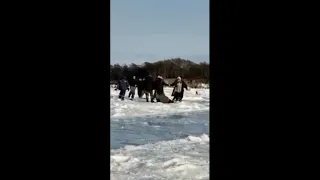 Драка на рыбалке. Рыбы мало а водки много.  2 серия.