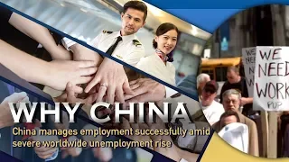 China's employment management amid global rise in unemployment