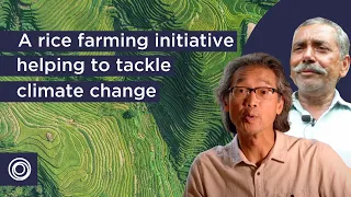 The System of Rice Intensification (SRI) | Transforming tradition