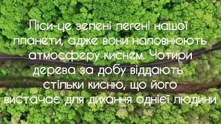 21 березня -Міжнародний день лісів