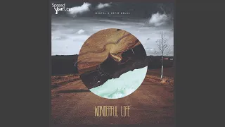 Wonderful Life (Original Mix)