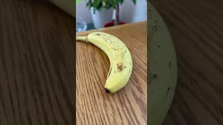 Как вырастить бананы в домашних условиях? Экзотика на подоконнике. Бананы из семян.