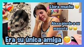 ALEXA PERDIÓ A SU MASCOTA Y REACCIONÓ MUY MAL 🐹😞// FAMILIA RECOCHA