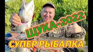 ЩУЧЬИ ГОЛОВЫ 22 07 2022