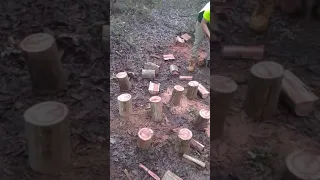 Splitting wood like a boss