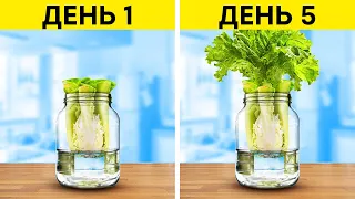 Садоводство для начинающих 🌻🥕 Превратите остатки в новые растения и выращивайте свой own овощи дома