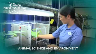 Animal Science and Environment | Disney Professional Internship Role