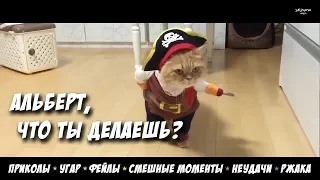 ПРИКОЛЫ 2018, FUNNY VIDEO, TRY NOT LAUGH | АЛЬБЕРТ, ЧТО ТЫ ДЕЛАЕШЬ