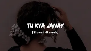 Tu Kya Janay (Slowed+Reverb) | Sahir Ali Bagga | UB WRITES