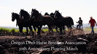 Oregon Draft Horse Breeder's Association 50th Anniversary Plowing Match 2016