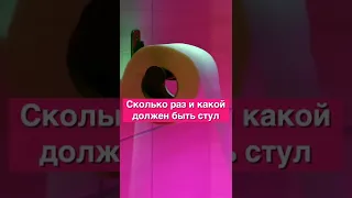 Сколько раз в день и какой должен быть стул (поход в туалет)