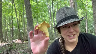 Finding chanterelles + ID destroying angels, Lepidellas, flaming-gold boletes and false turkey tails