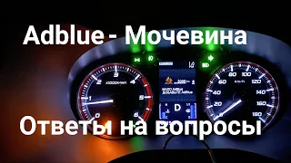 Mitsubishi Delica AdBlue МОЧЕВИНА  Зачем и Сколько?