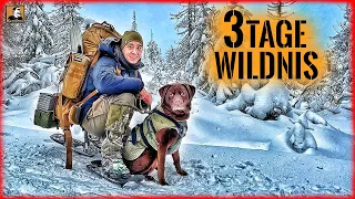 3 TAGE Wildnis im SCHNEE mit HUND - BIWAK im WINTER | Survival Mattin