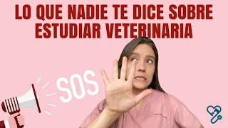 5 COSAS QUE NADIE TE DICE SOBRE ESTUDIAR VETERINARIA - Lauvet