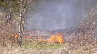 Остановить незаконный пал травы