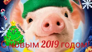 Поздравление с Новым 2019 Годом!!!/Happy New Year!/Year of pig